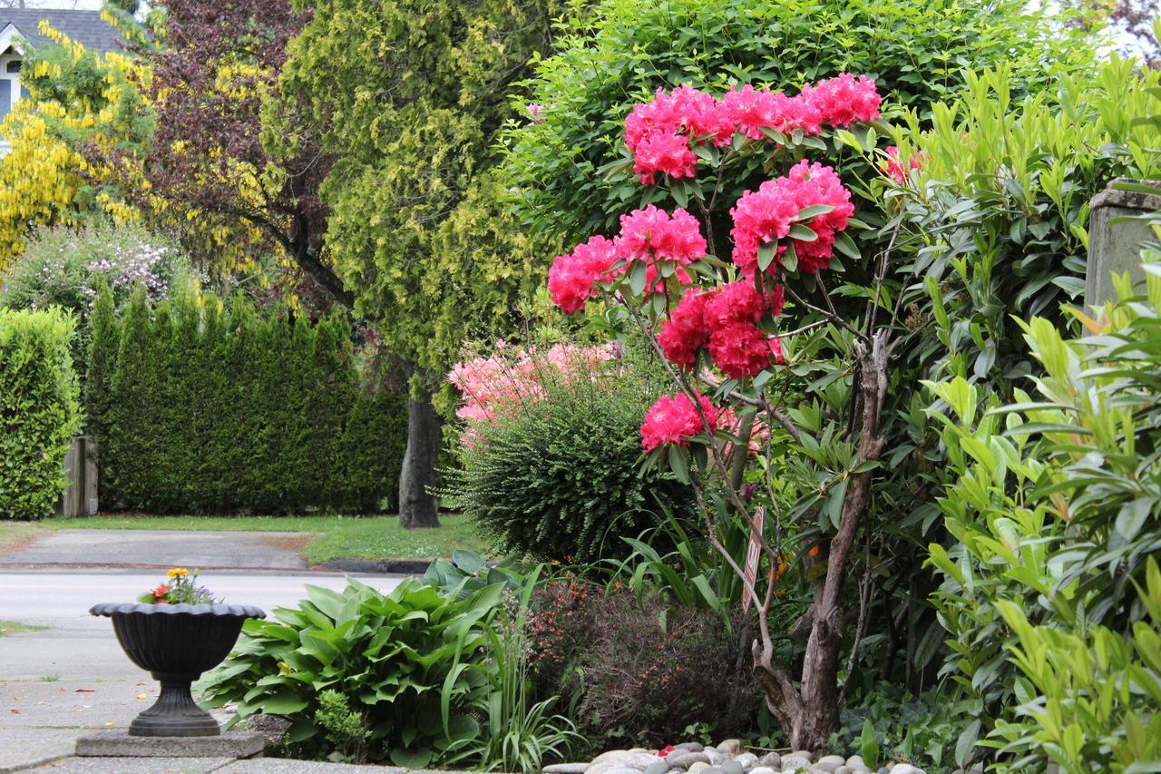 Cartier Guest House Vancouver Dış mekan fotoğraf