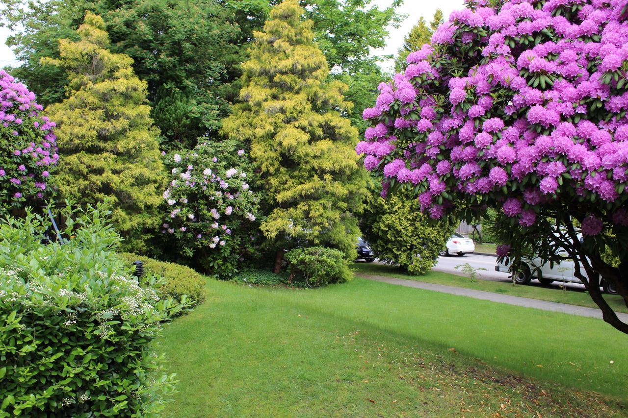 Cartier Guest House Vancouver Dış mekan fotoğraf